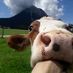 Thoamlhof *