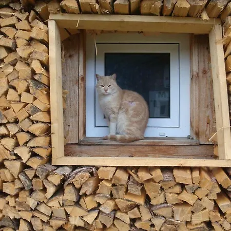 Thoamlhof 公寓 洛伊塔施