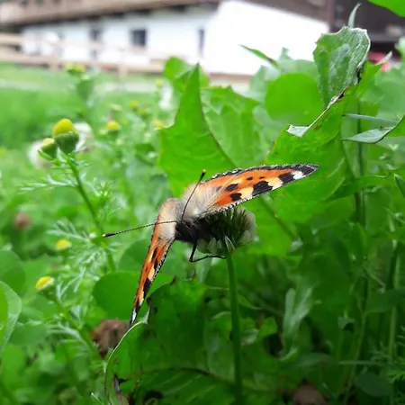 Thoamlhof Appartamento