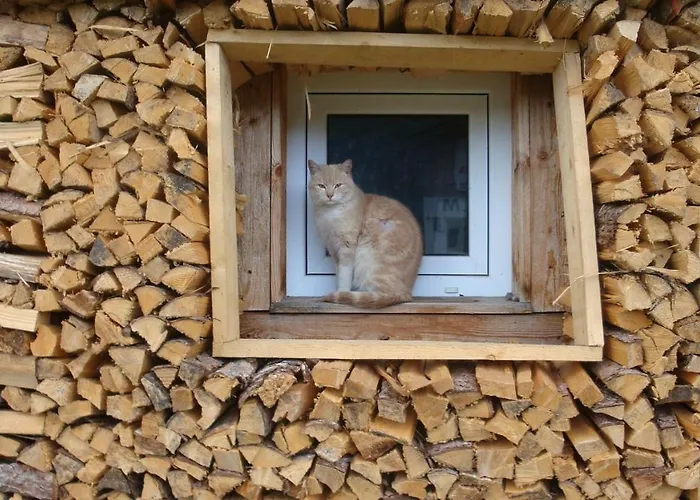 Thoamlhof Lejlighed Leutasch